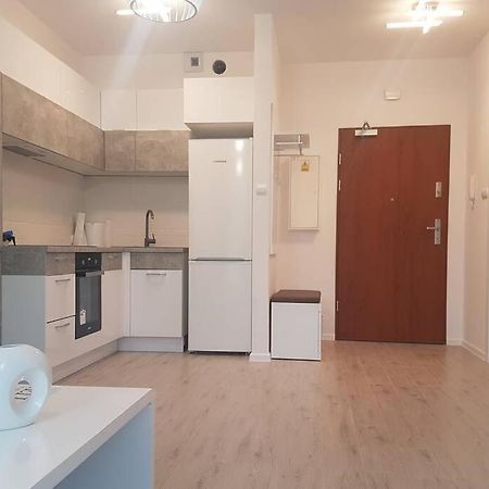 Apartament Z Tarasem I Ogrodem Blisko Centrum Γκντανσκ Εξωτερικό φωτογραφία